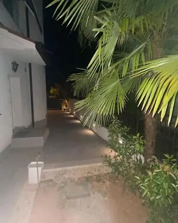 Simon's Place